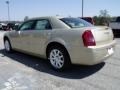 White Gold Pearlcoat - 300 Touring Photo No. 6