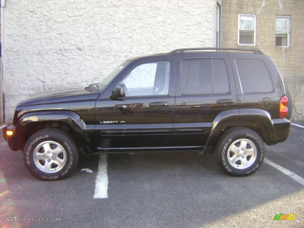 2002 Liberty Limited 4x4 - Black / Taupe photo #1