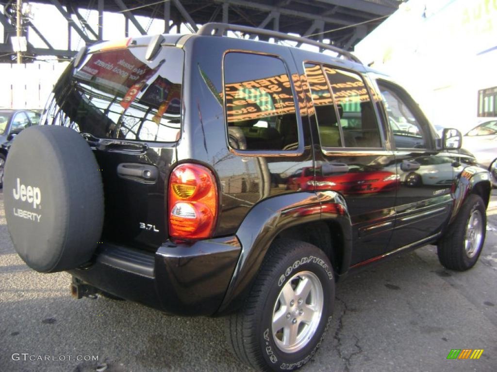 2002 Liberty Limited 4x4 - Black / Taupe photo #7