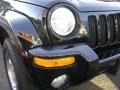 2002 Black Jeep Liberty Limited 4x4  photo #9