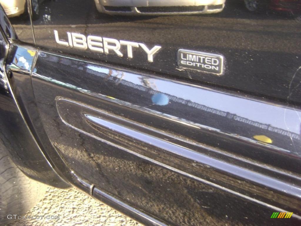 2002 Liberty Limited 4x4 - Black / Taupe photo #11
