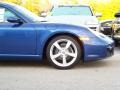 Cobalt Blue - Cayman  Photo No. 7