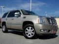 Quicksilver - Escalade AWD Photo No. 1