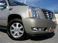 Quicksilver - Escalade AWD Photo No. 2