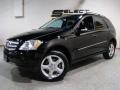 Black - ML 350 4Matic Photo No. 1