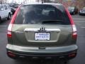 2007 Green Tea Metallic Honda CR-V EX 4WD  photo #6