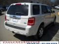 2010 White Suede Ford Escape Limited V6 4WD  photo #6