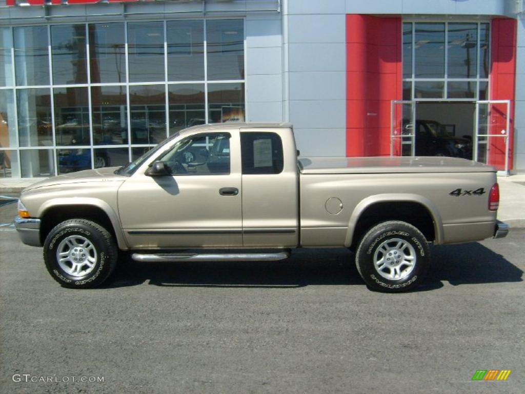 2004 Dakota SLT Club Cab 4x4 - Light Almond Pearl Metallic / Taupe photo #2