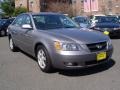 Steel Gray - Sonata LX V6 Photo No. 3