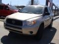 Savannah Metallic - RAV4 I4 Photo No. 3