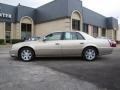 Light Cashmere Metallic - DTS  Photo No. 4