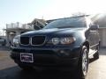 2004 Toledo Blue Metallic BMW X5 3.0i  photo #12