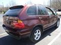Mohogany Brown Metallic - X5 3.0i Photo No. 5