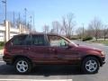 Mohogany Brown Metallic - X5 3.0i Photo No. 6