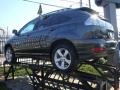 2004 Flint Gray Mica Lexus RX 330 AWD  photo #3