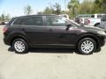 Black Cherry Mica - CX-9 Touring Photo No. 13