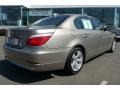 Platinum Bronze Metallic - 5 Series 528xi Sedan Photo No. 9