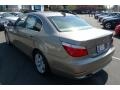 Platinum Bronze Metallic - 5 Series 528xi Sedan Photo No. 11