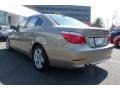 Platinum Bronze Metallic - 5 Series 528xi Sedan Photo No. 13