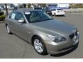 Platinum Bronze Metallic - 5 Series 528xi Sedan Photo No. 16