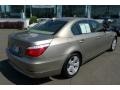 Platinum Bronze Metallic - 5 Series 528xi Sedan Photo No. 19