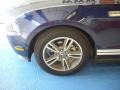 2010 Kona Blue Metallic Ford Mustang V6 Premium Convertible  photo #5