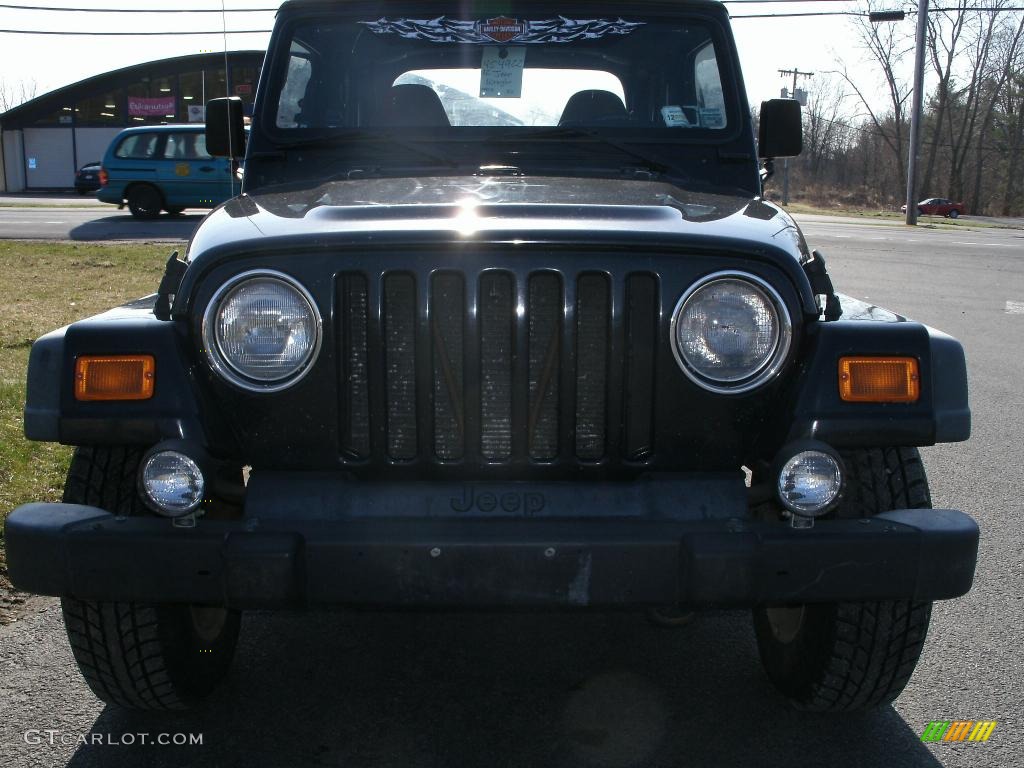 2002 Wrangler X 4x4 - Black / Camel Beige photo #3