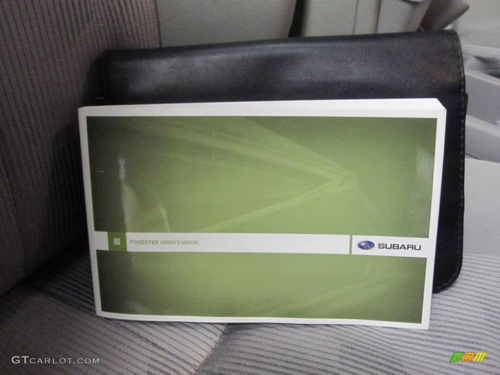 2009 Forester 2.5 X Premium - Steel Silver Metallic / Platinum photo #10