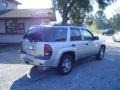 2007 Silverstone Metallic Chevrolet TrailBlazer LS  photo #5