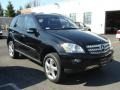 Black - ML 350 4Matic Photo No. 3