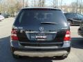 Black - ML 350 4Matic Photo No. 5