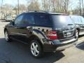 Black - ML 350 4Matic Photo No. 6