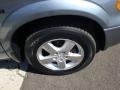 Silver Steel Metallic - Grand Caravan SXT Photo No. 12