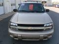 Sandstone Metallic - TrailBlazer LS Photo No. 6