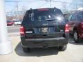 2010 Black Ford Escape XLT V6 4WD  photo #4