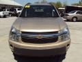 2006 Sandstone Metallic Chevrolet Equinox LS  photo #14