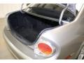 Sunlit Sand Metallic - Maxima SE Photo No. 11