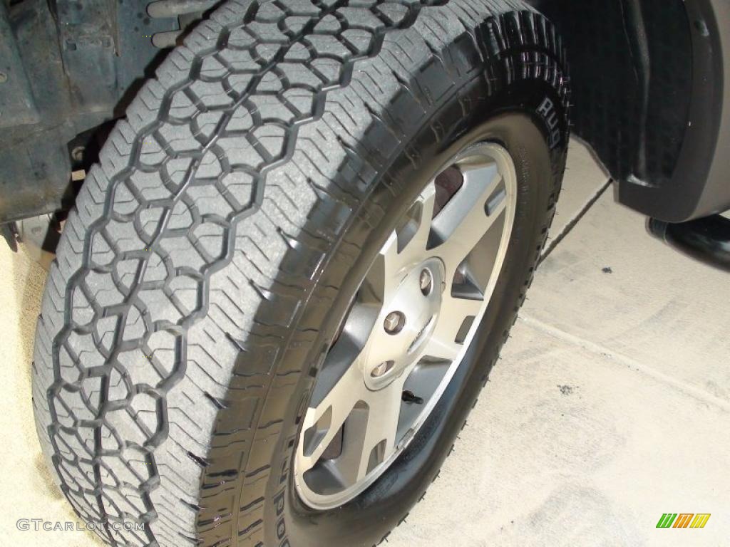 2005 F150 FX4 SuperCrew 4x4 - Silver Metallic / Medium Flint/Dark Flint Grey photo #47