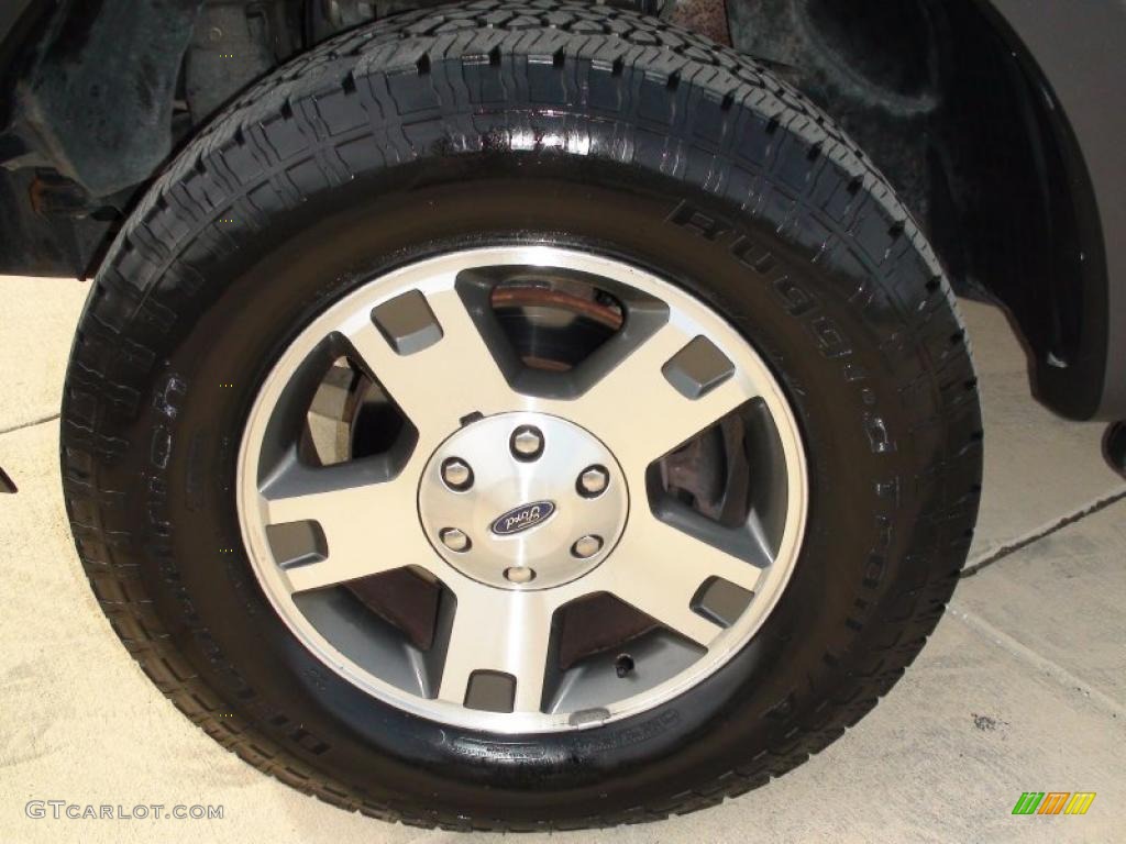 2005 F150 FX4 SuperCrew 4x4 - Silver Metallic / Medium Flint/Dark Flint Grey photo #51