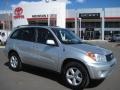 Titanium Metallic - RAV4  Photo No. 1