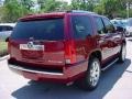 Infrared - Escalade  Photo No. 5