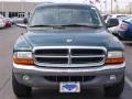 2001 Forest Green Pearl Dodge Dakota SLT Regular Cab  photo #8