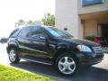 Black - ML 350 4Matic Photo No. 4