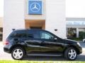 Black - ML 350 4Matic Photo No. 5