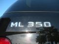 Black - ML 350 4Matic Photo No. 9