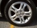 2006 Alabaster Silver Metallic Honda Accord EX-L Sedan  photo #10