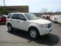 2010 White Suede Ford Escape XLT V6 4WD  photo #1