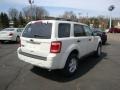 2010 White Suede Ford Escape XLT V6 4WD  photo #3
