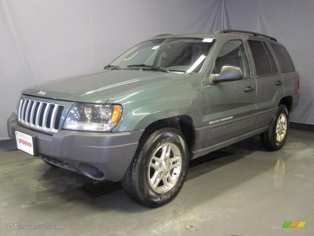 2004 Grand Cherokee Laredo 4x4 - Onyx Green Pearl / Dark Slate Gray photo #1