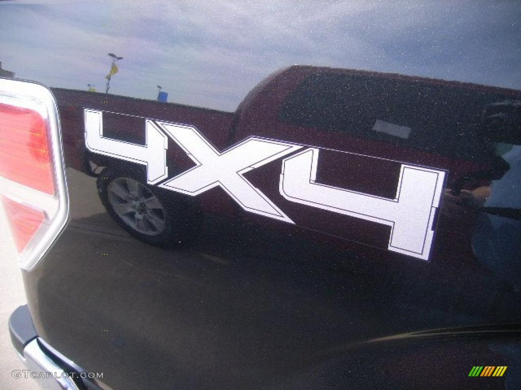 2010 F150 XLT SuperCrew 4x4 - Tuxedo Black / Medium Stone photo #3